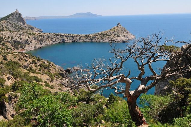 Новости Крымнаша. Предатели Украины выбрали сторону Гитлера