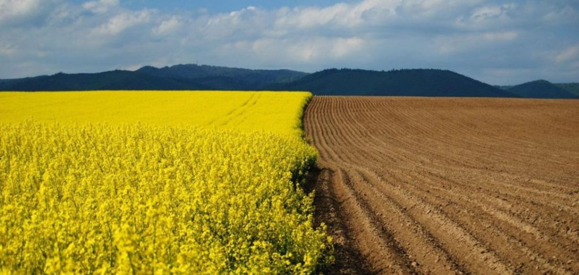 В Україні набув чинності мораторій на продаж землі: що варто знати