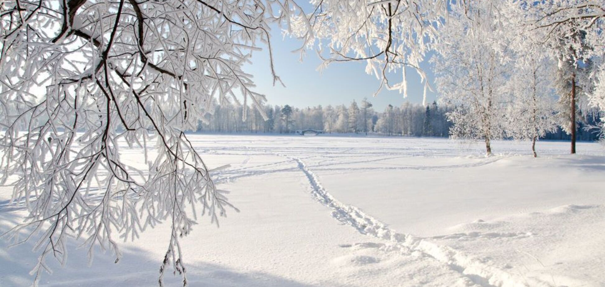 Тепло остается: синоптики резко изменили прогноз погоды в Украине