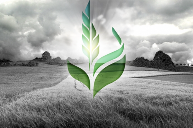 В Агрофонде опровергли обвинения НАБУ: при 'растратах' доход не растет на 57% в год