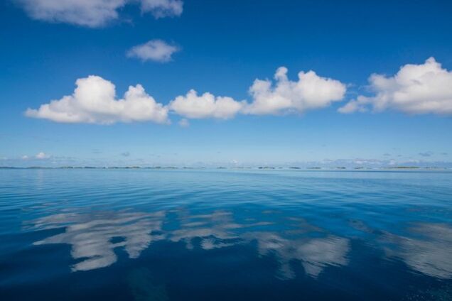 Главный цвет 2020 года: эксперты сделали предположение