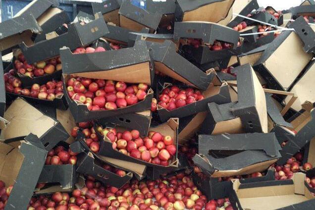 Путин открыл секрет