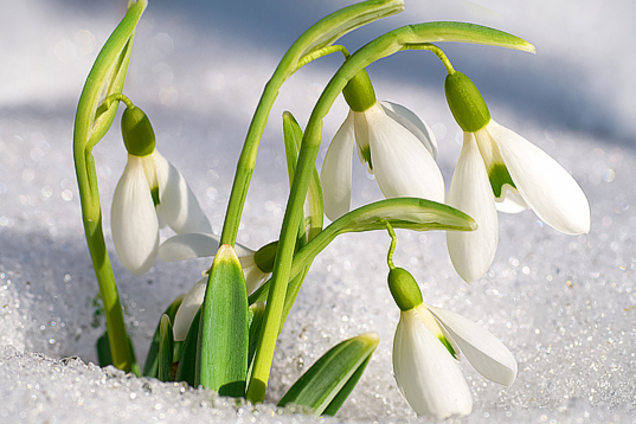 Весна возвращается: синоптик назвала дату следующего потепления в Украине