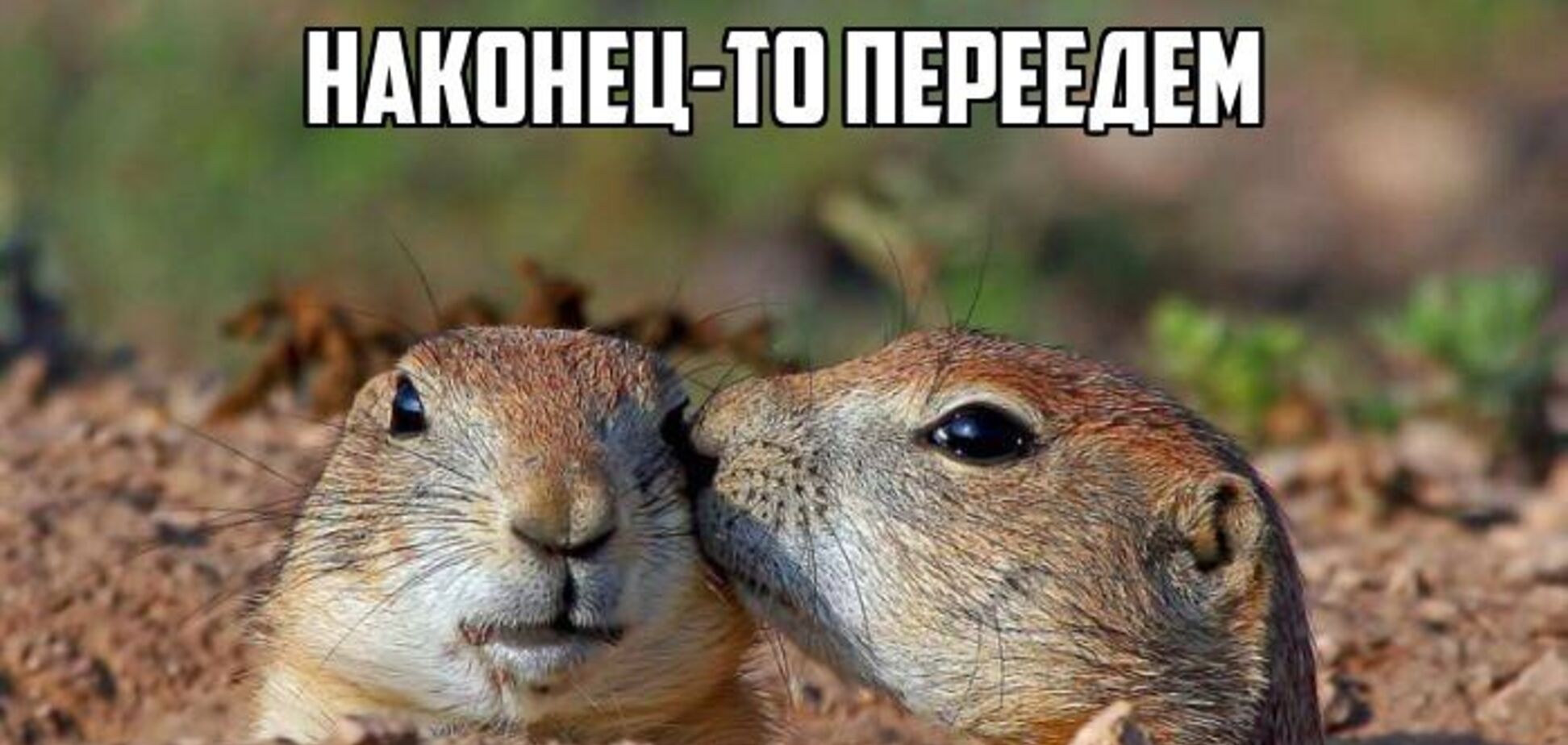 Лежав понад 600 років! У Росії ховрах знайшов старовинний дорогоцінний скарб