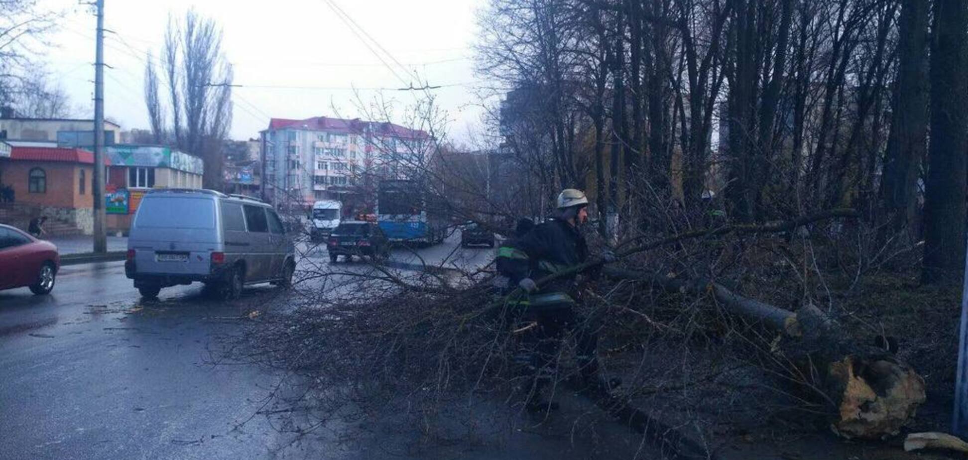 В Виннице дерево убило 11-летнюю девочку