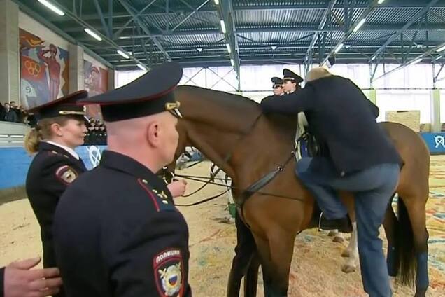 Падение рейтинга Путина: как реагируют кони, депутаты и ВЦИОМ