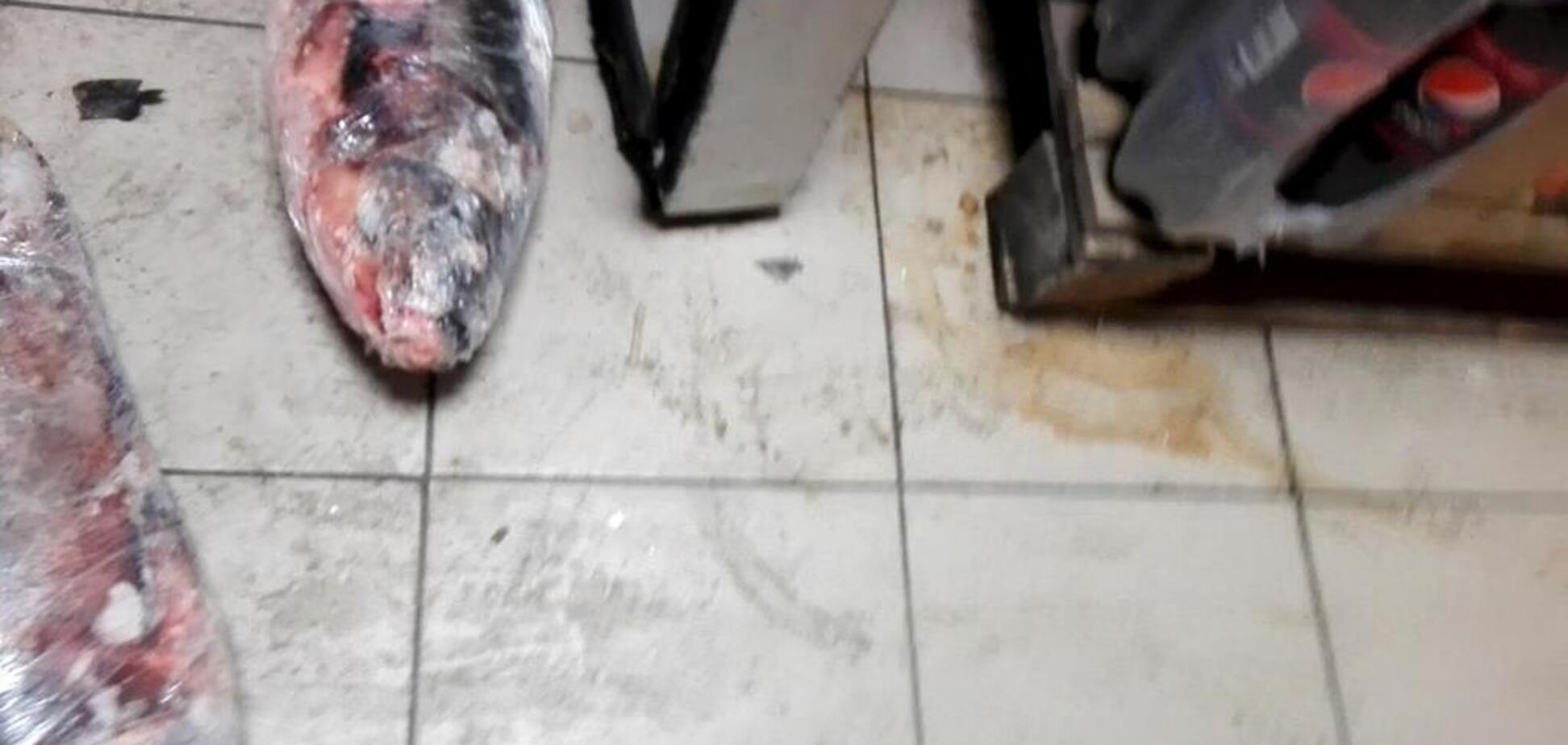 Таргани, мухи і бруд: як труять людей на ринках і в супермаркетах Києва