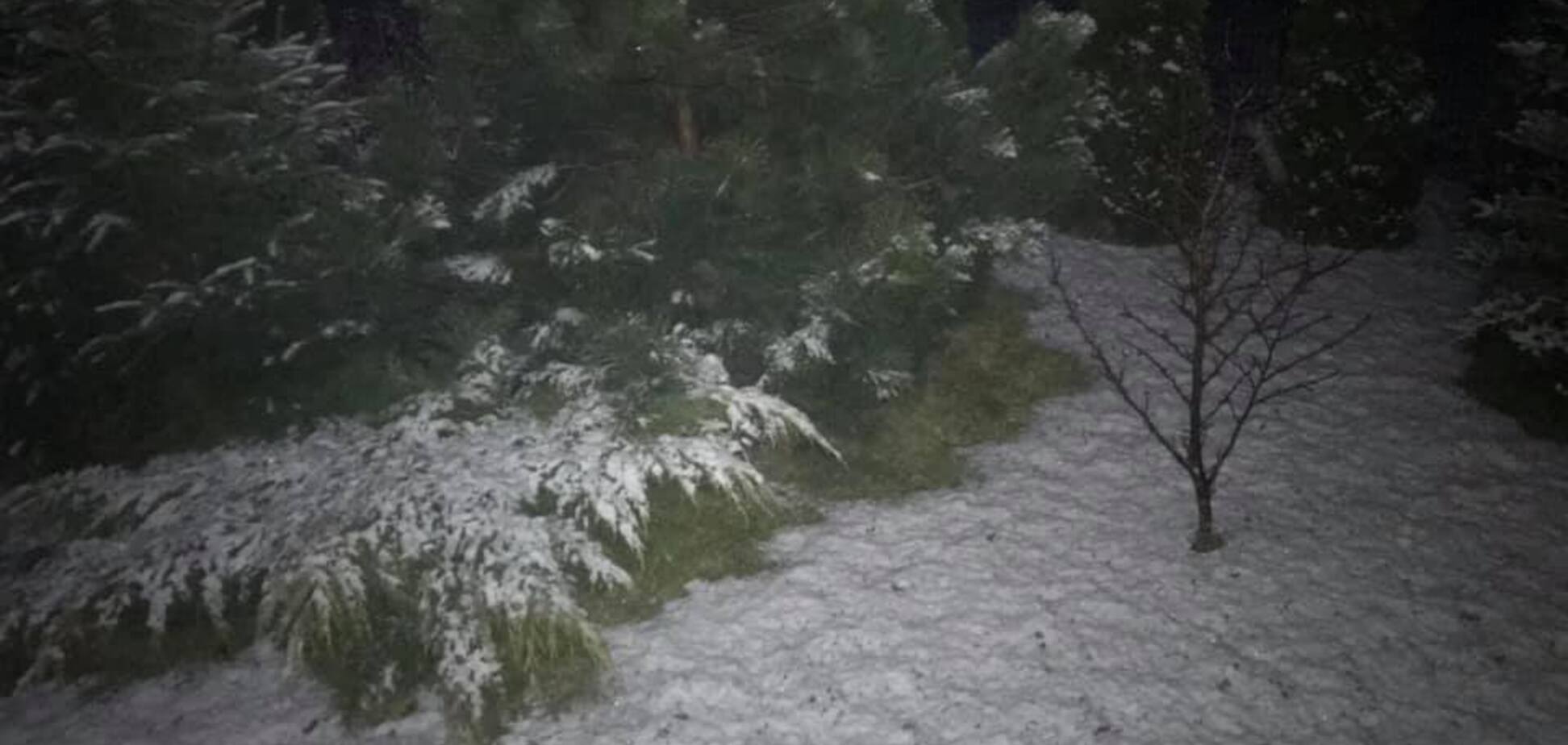 'С регулярным мартовским снегом!' В сети показали фото непогоды во Львове