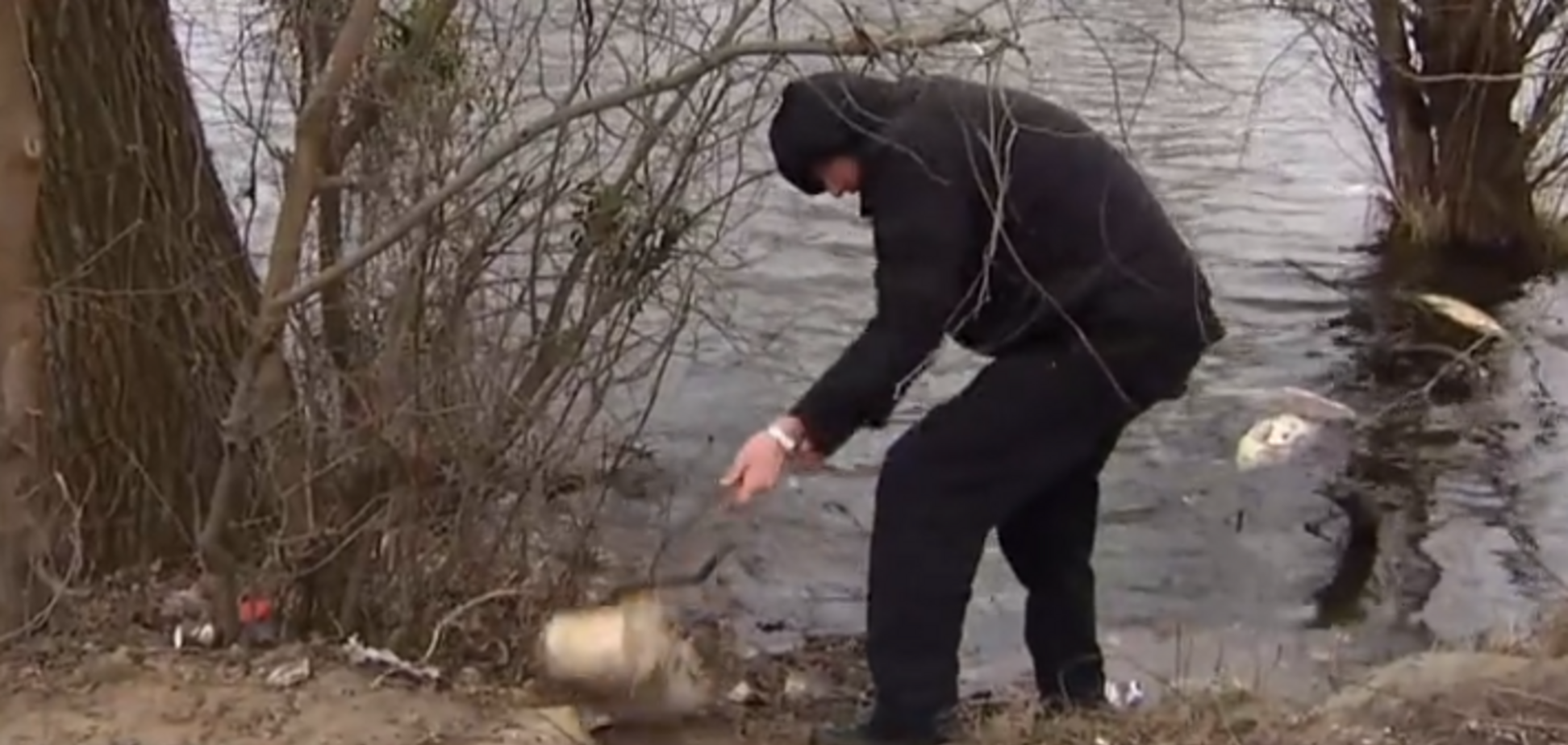 В Киеве массовый мор рыбы