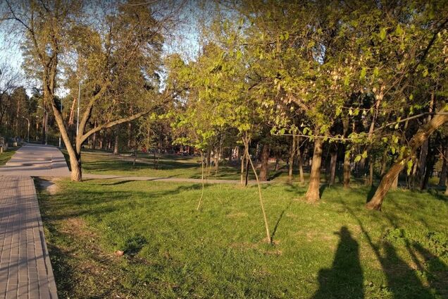 В Киеве посреди парка нашли труп младенца в пакете: фото