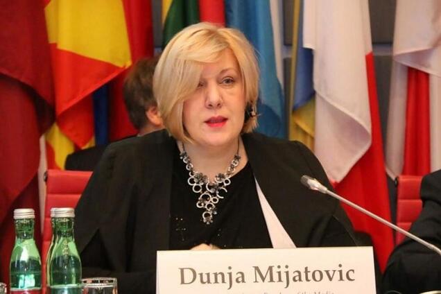 Закон Про Мову призвів до 'вибуху кремлівської консерви' у Раді Європи