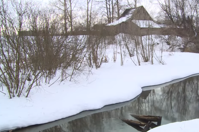 У Росії пройшов снігопад із блохами: вражаючі фото і відео