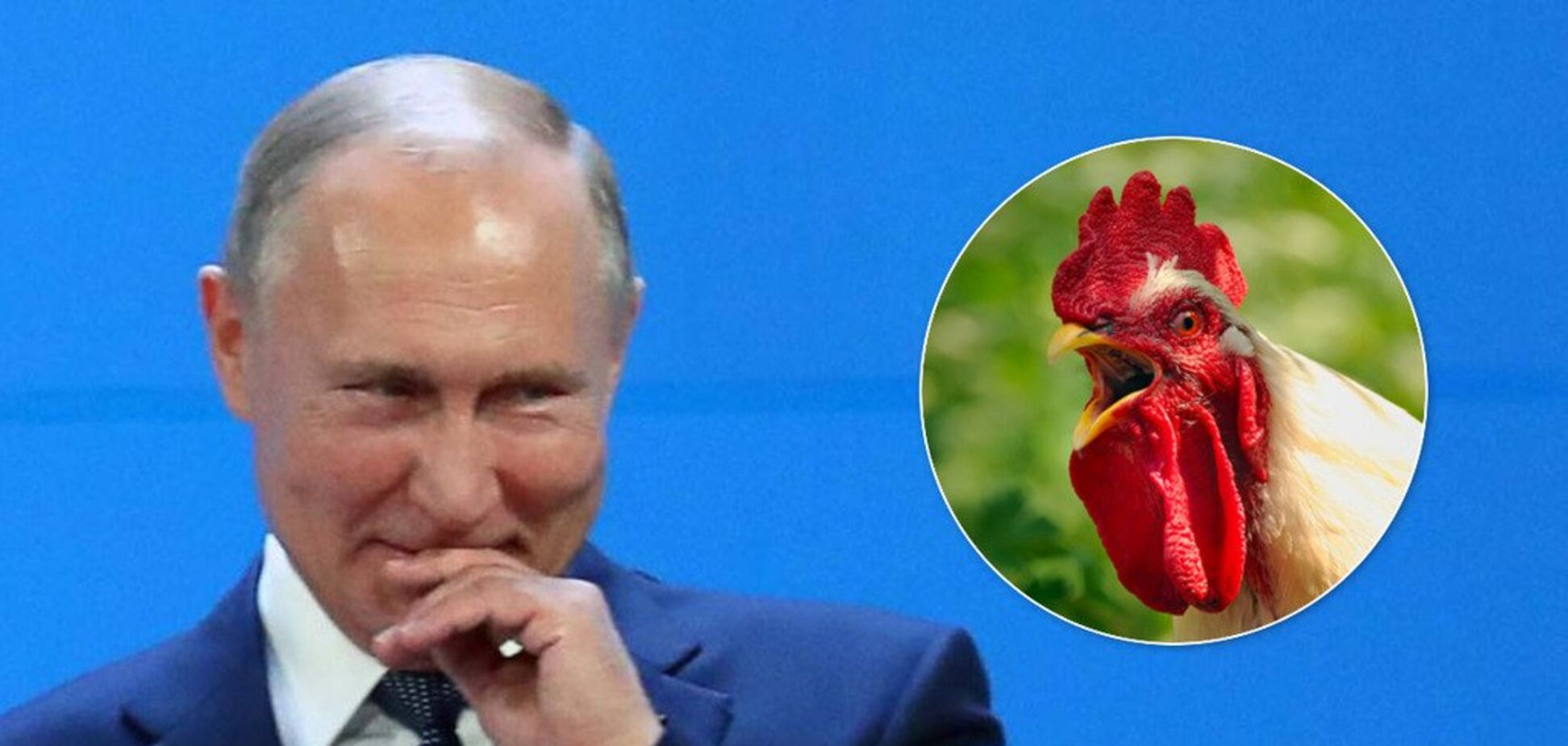 Путін осоромився розповіддю про 'півника': що трапилося. Відео