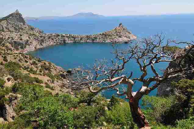 Новости Крымнаша. Не пытайтесь предлагать падальщикам хлеб и соль