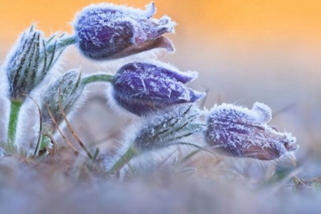 Весна набирает обороты: синоптики уточнили прогноз погоды в Украине