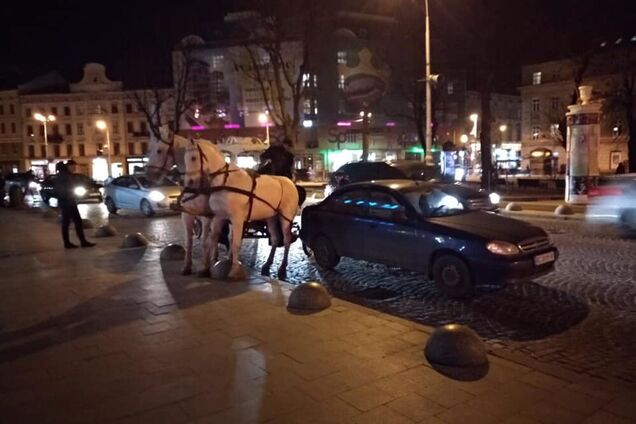 Во Львове карета с лошадьми угодила в пьяное ДТП