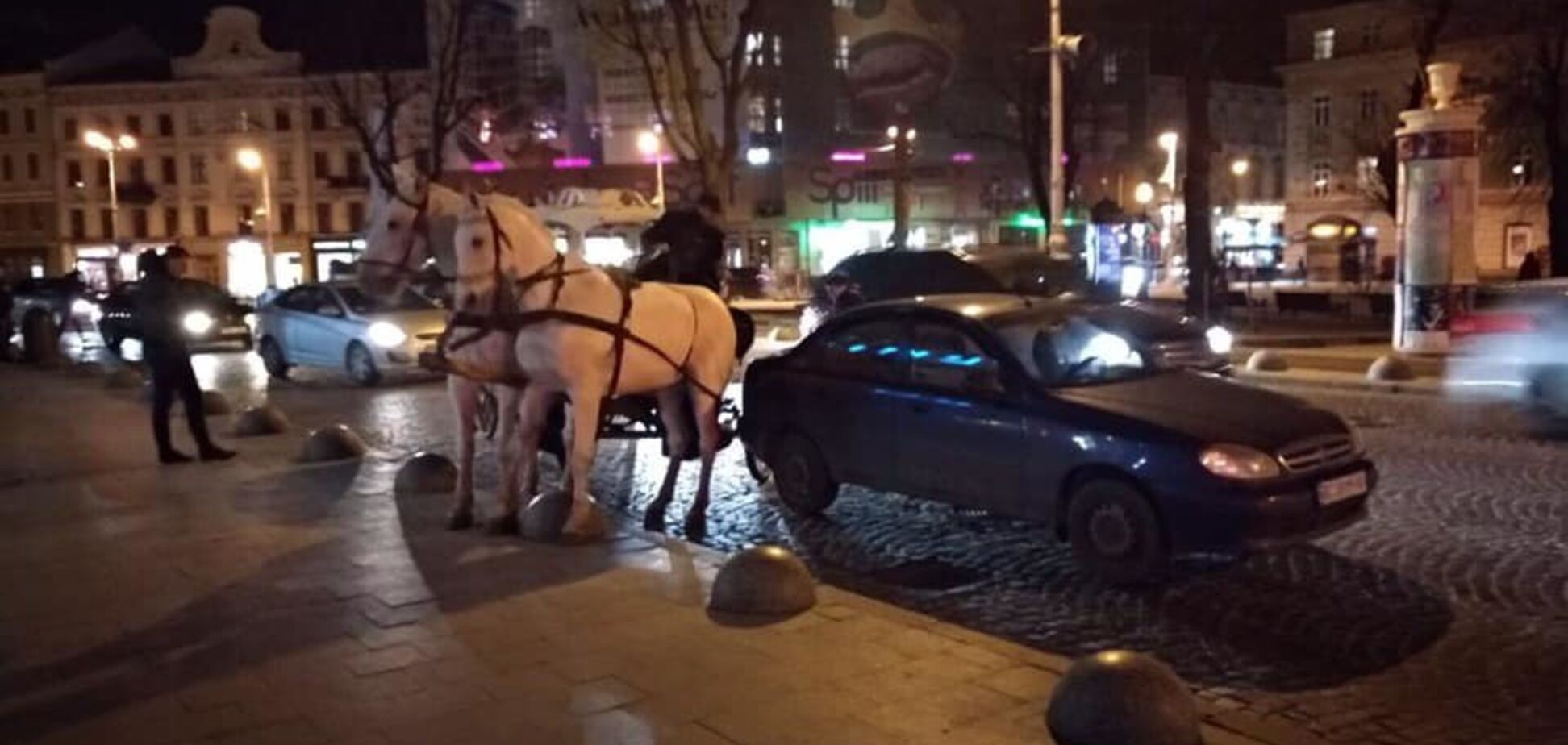 Во Львове карета с лошадьми угодила в пьяное ДТП