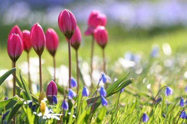 Потеплеет до +22: синоптик сообщила о 'сказочной' погоде в Украине