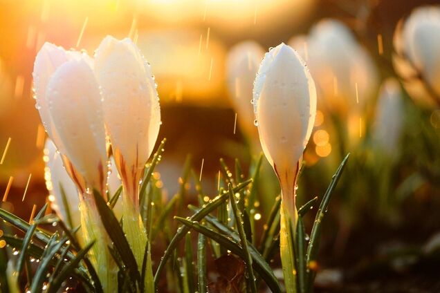 Заллє дощами: синоптик попередила про похолодання в Україні