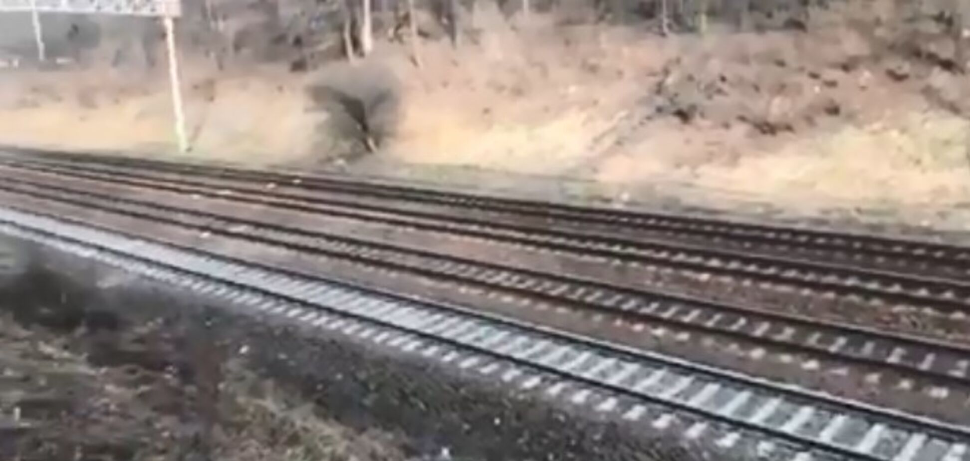 В Киеве мужчине оторвало голову поездом: подробности ЧП