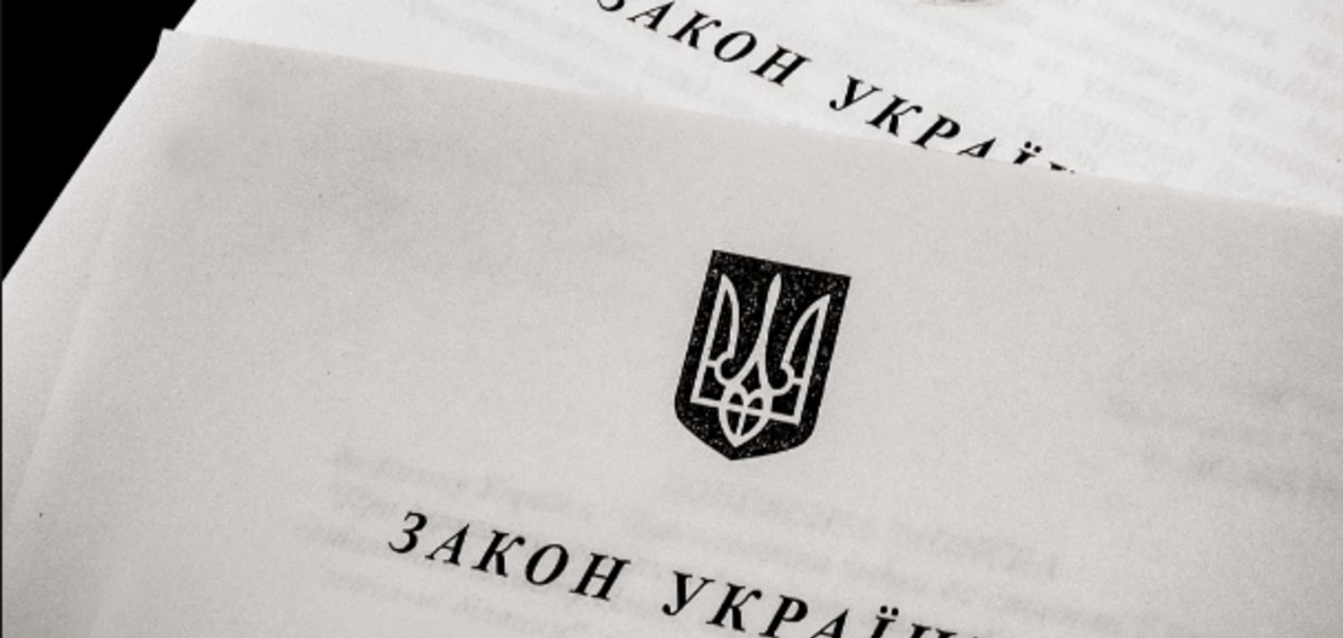 Закон 'О концессии' превратит госимущество в проблемную ипотеку - депутаты