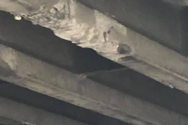 У Києві вантажівка знесла балку мосту: рух перекрили