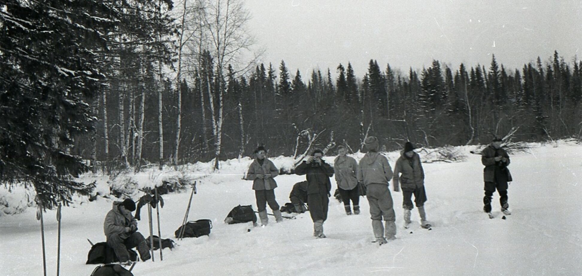 Щось загнало на дерево: у таємниці перевалу Дятлова з'явився несподіваний нюанс