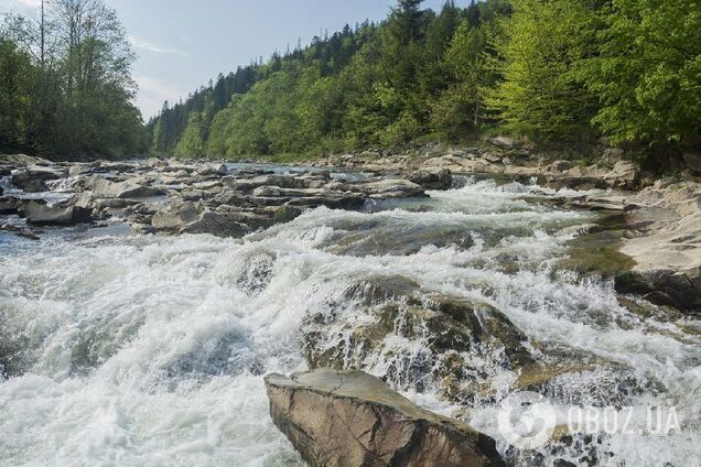 Найчистіші річки України: де вони протікають