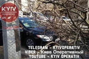 У Києві через вітер дерева впали на авто: фото з місця НП
