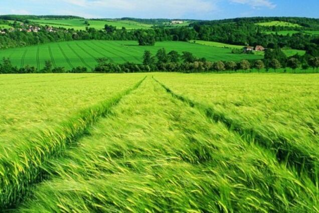 Не дати вкрасти Українську землю за лаштунками мораторію. Народна земельна реформа