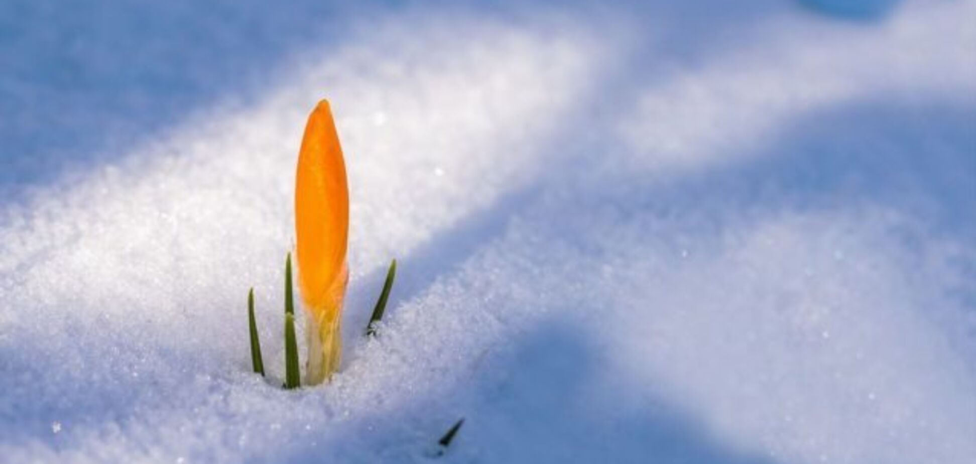 Зима с весной столкнутся: синоптики пообещали Украине битву стихий