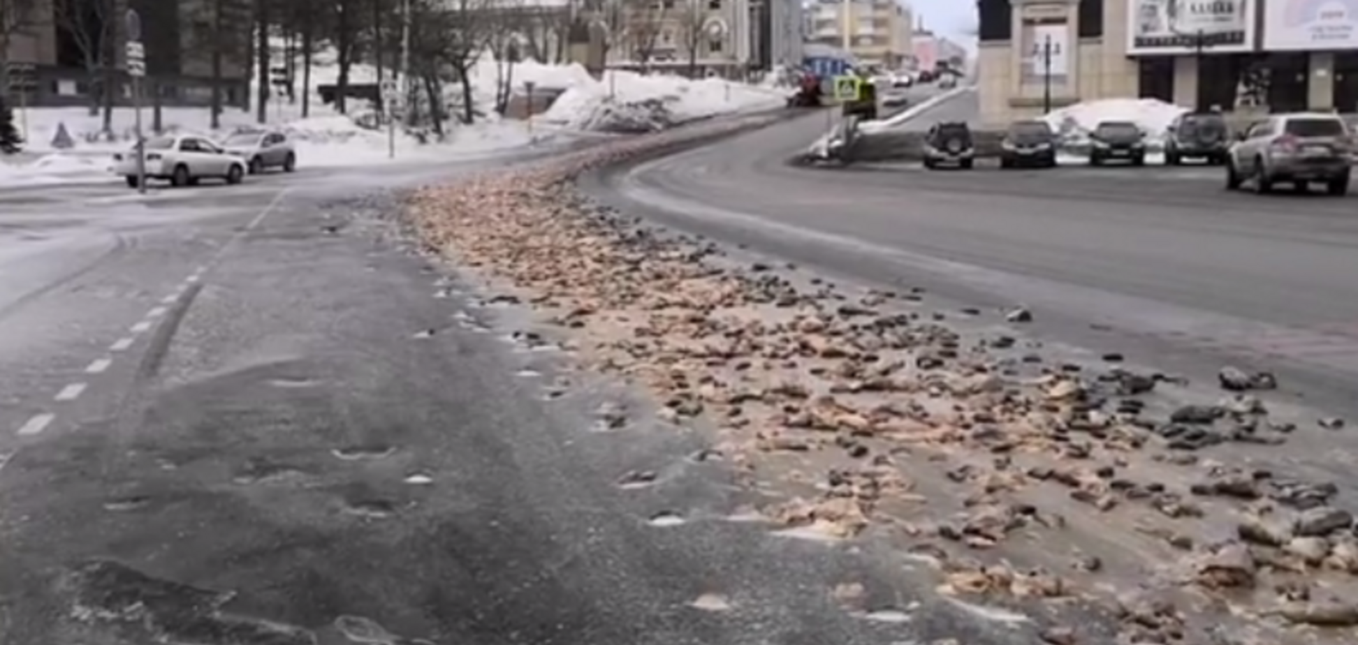 Російське місто завалило тисячами риб'ячих голів: моторошні кадри