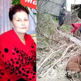 Провалилась в колодец