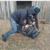 На Хмельнитчине педофил зверски изнасиловал ребенка