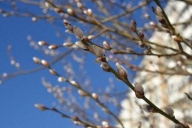 Від морозу і снігу до +12: синоптики дали неоднозначний прогноз по Україні