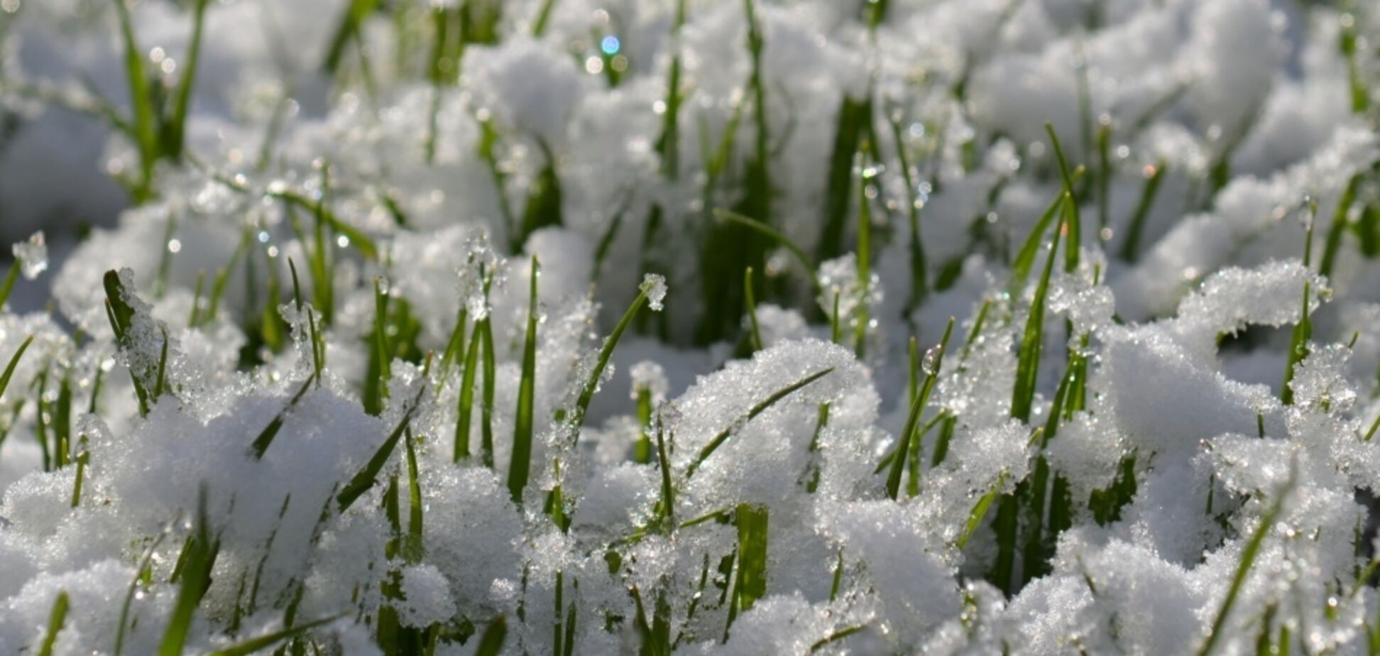 Похолодає і випаде сніг: синоптик попередила про різку зміну погоди в Україні