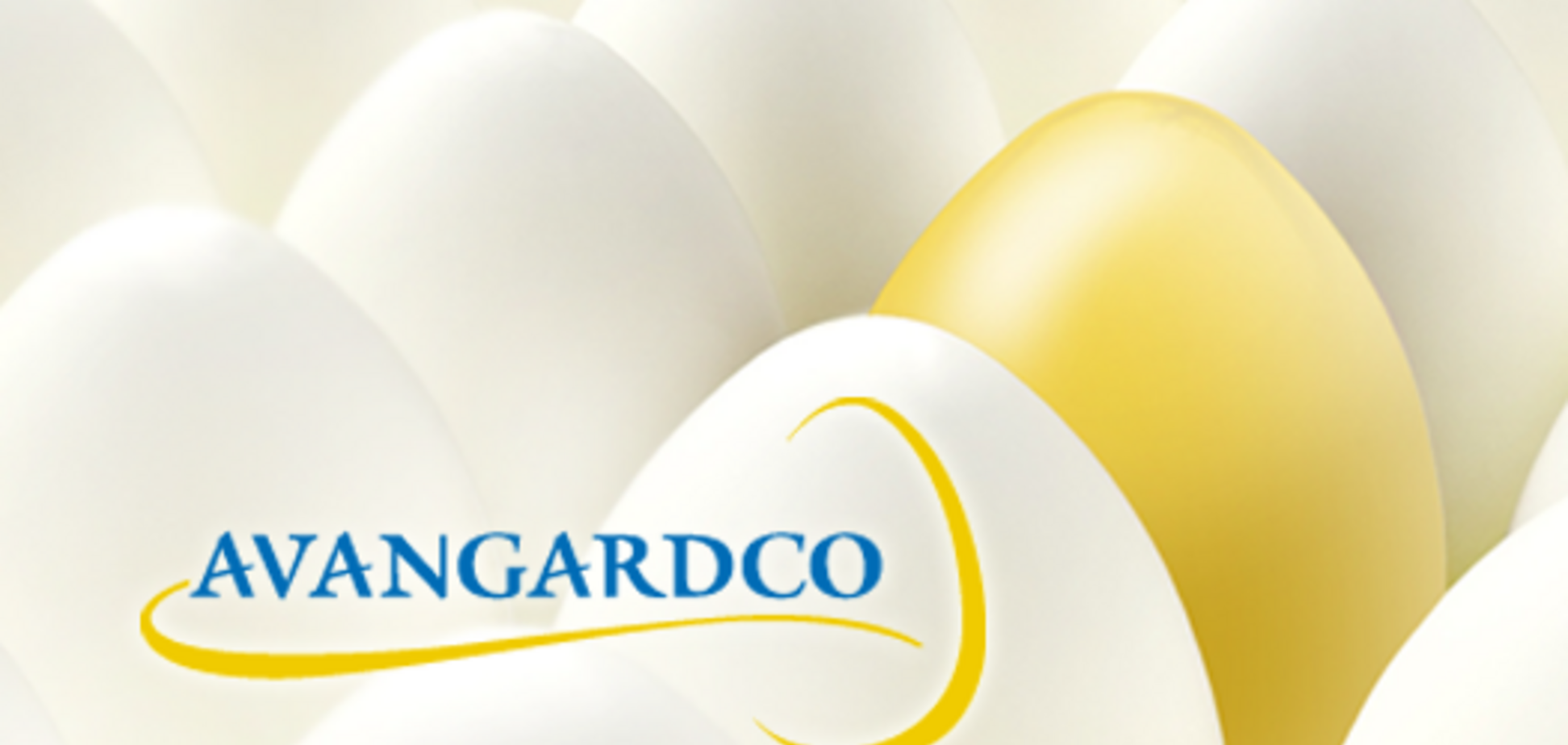 'Авангард' очолив топ-9 українських компаній-експортерів яєць