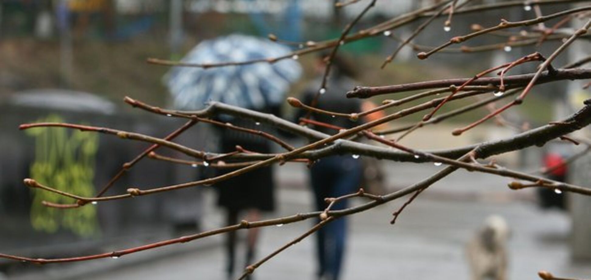 Синоптик заявила об ухудшении погоды в Украине, местами снег