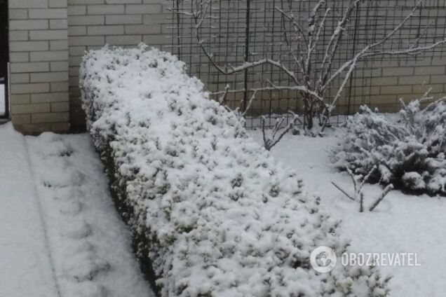 'С Новым годом!' Киев среди весны засыпало снегом. Фото и видео