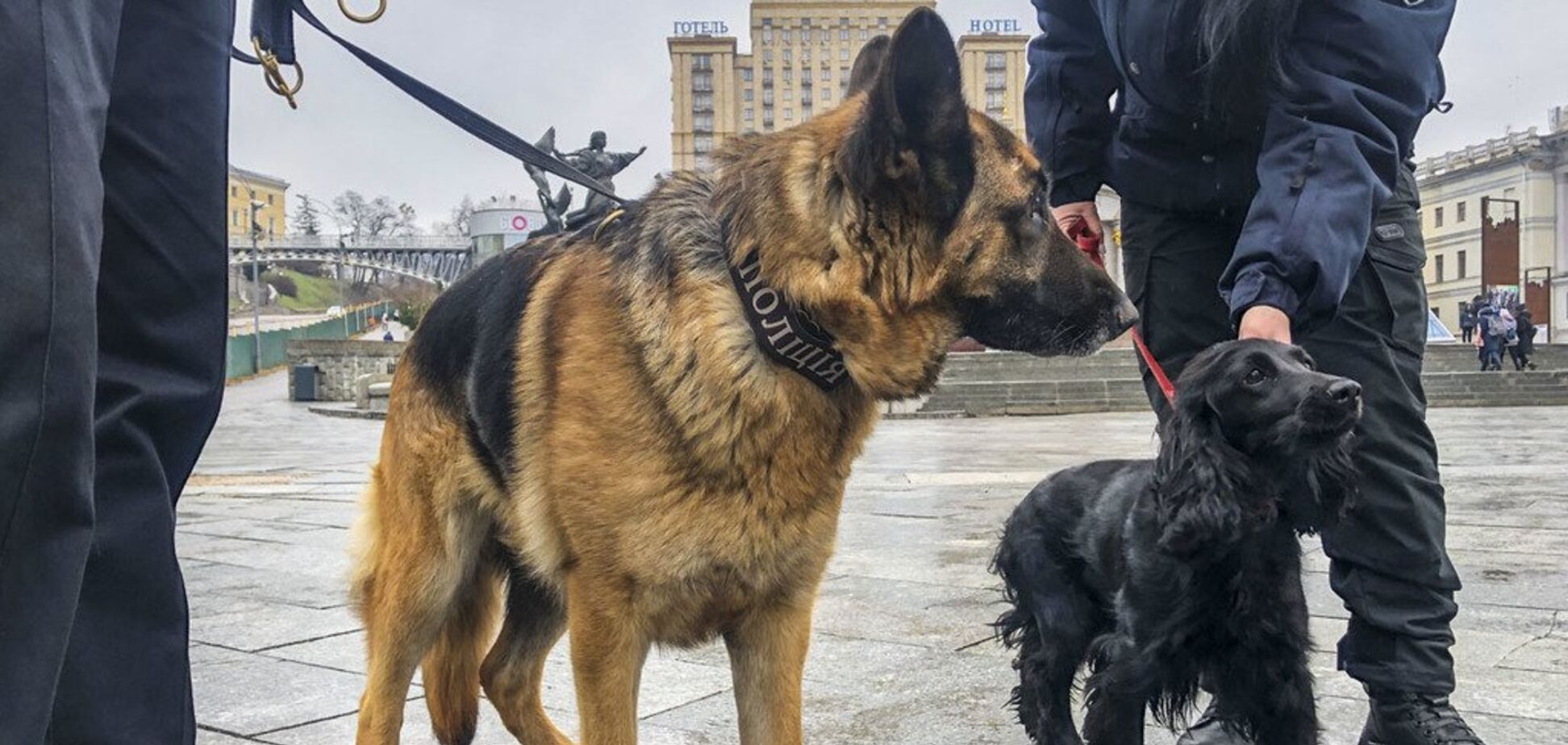 У Києві евакуювали два ТРЦ: що трапилося