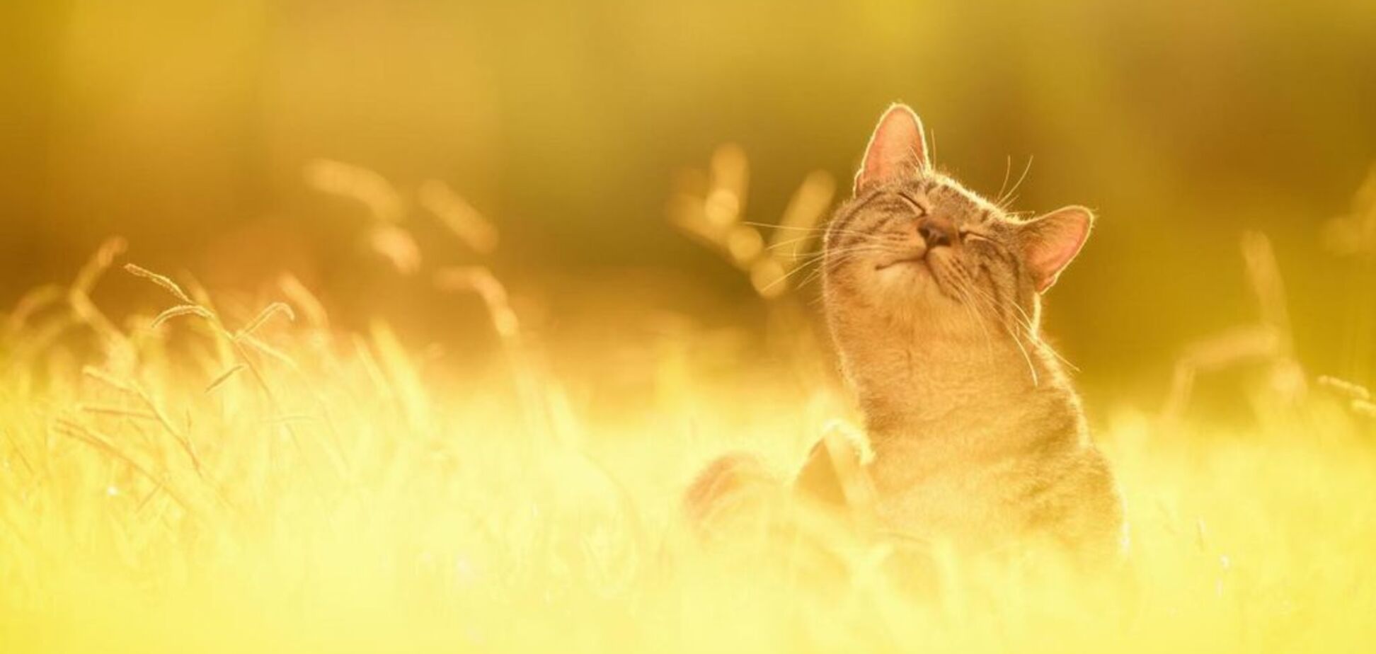 'Настоящая жара': синоптик дал прогноз на Пасху и майские праздники в Украине