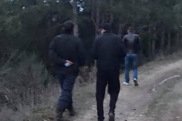 'Эта зараза поразила Крым!' Названа новая опасность на оккупированном полуострове