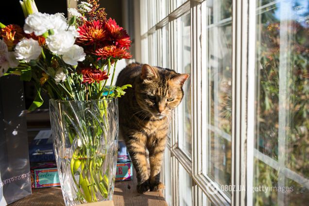 Почти лето: Гидрометцентр уточнил погоду в Украине в день выборов