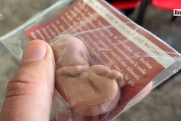  Пластиковые зародыши и эмбрионы в целлофане: в Италии вспыхнул громкий скандал 