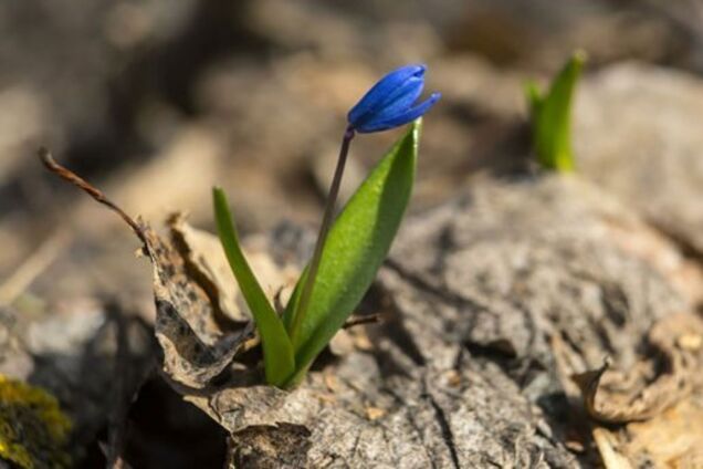 'Побалует летними деньками': появился теплый прогноз погоды в Украине на апрель