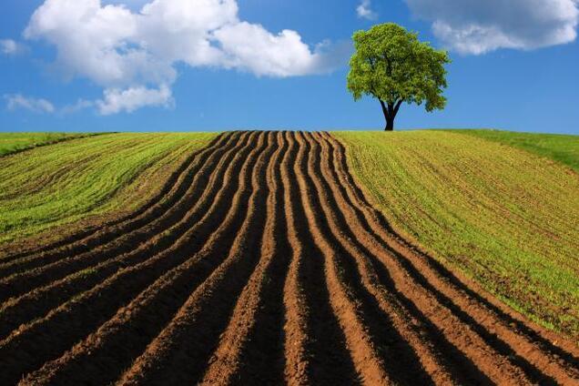 Земля і селяни на захисті України. Нова аграрна політика