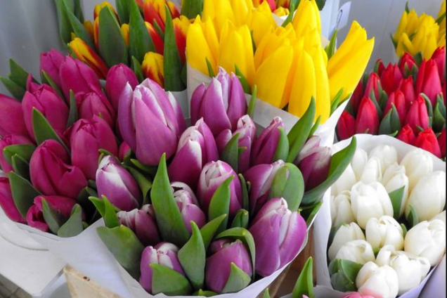 Как выбрать цветы к 8 Марта: советы экспертов