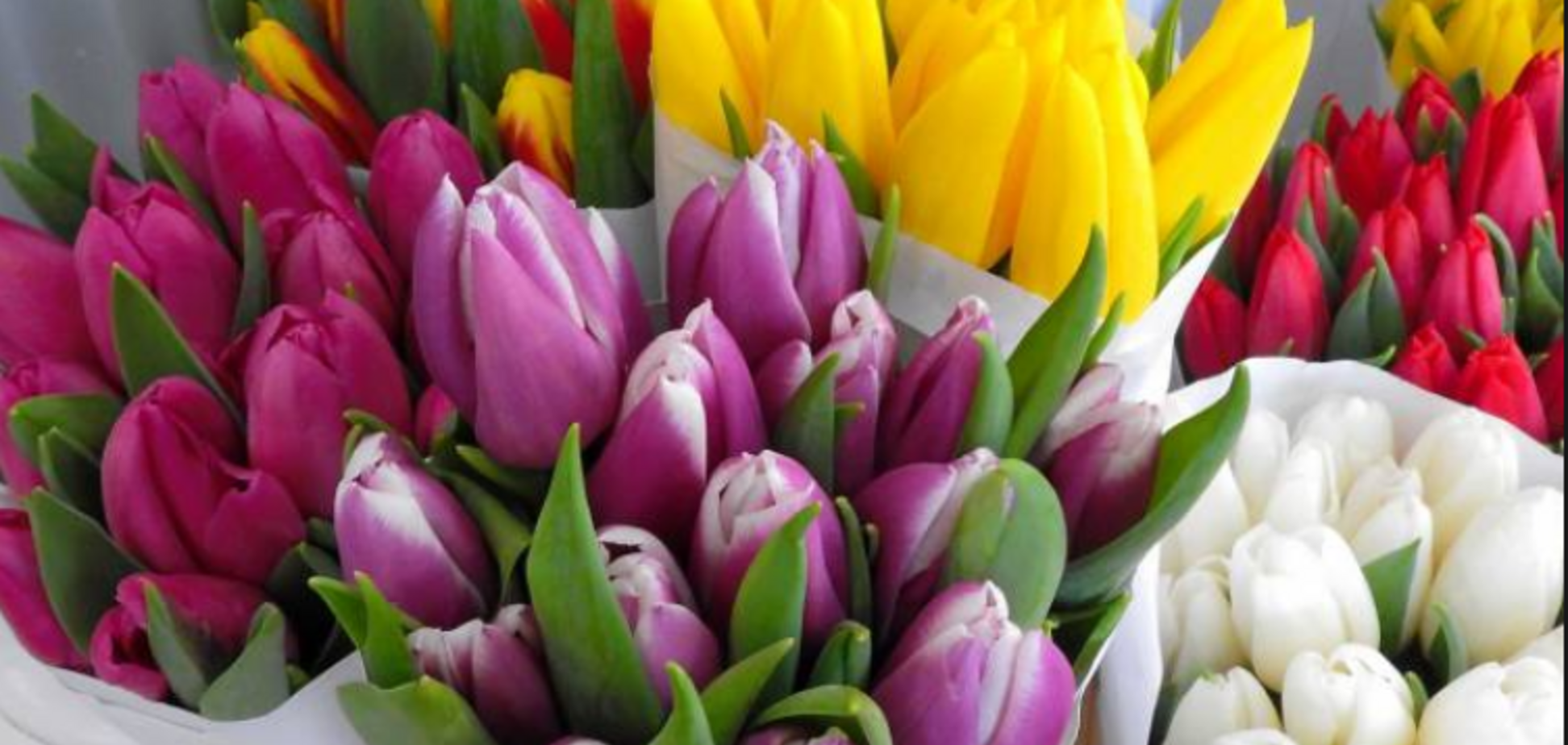 Как выбрать цветы к 8 Марта: советы экспертов