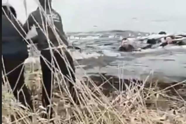 'Настоящие герои!' Спасение детей из ледяной воды в Киеве попало на видео