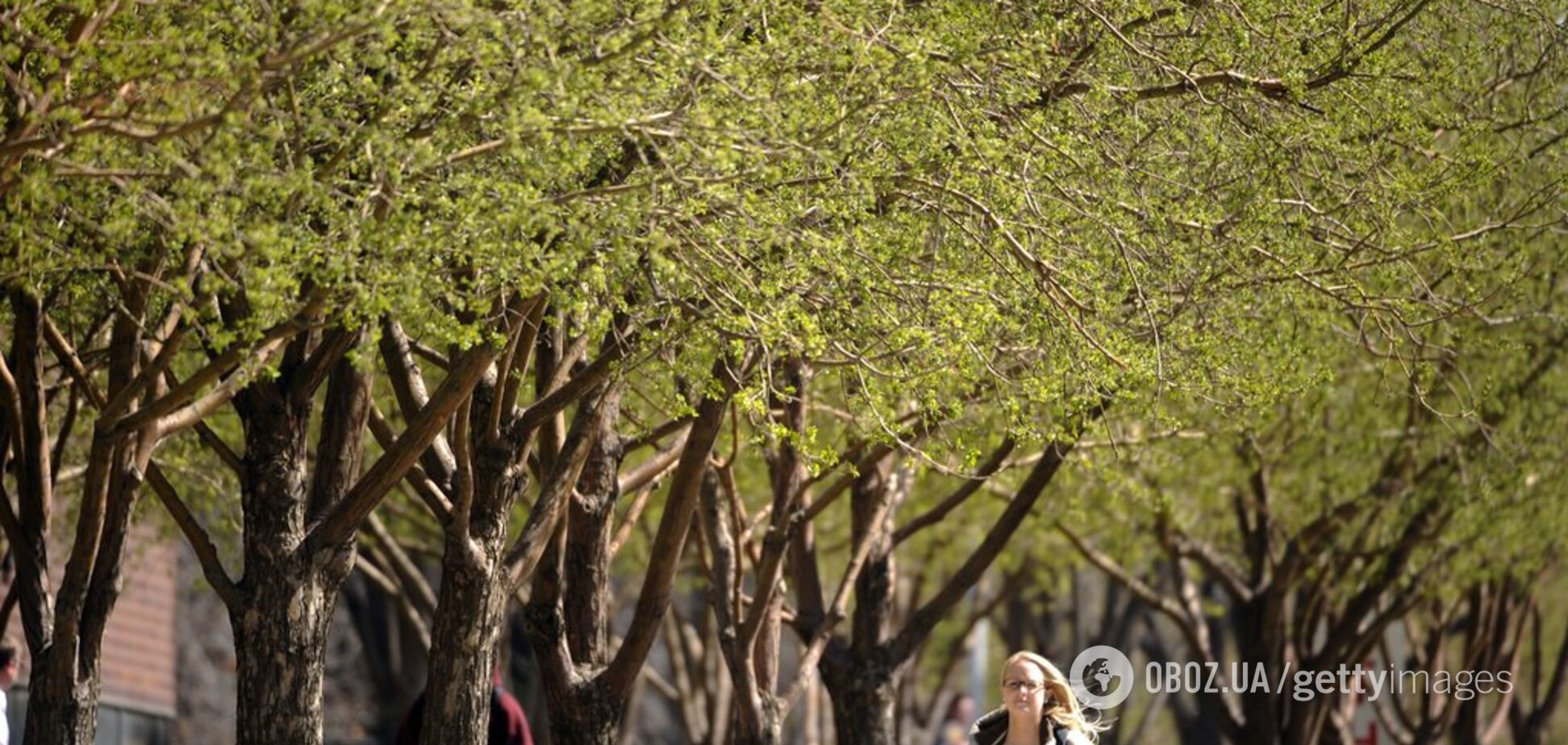 Настоящая весна! Синоптики дали теплый прогноз погоды в Украине